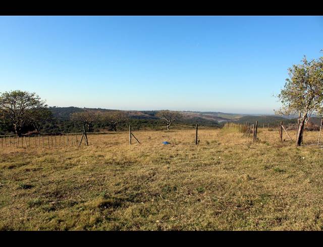 231HA FARM FOR SALE IN EAST LONDON RURAL